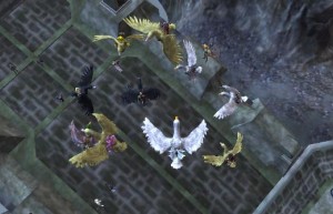 everquest platinum hunting with duck mounts