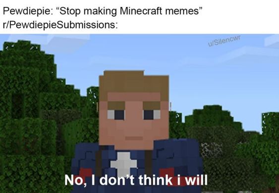 Stop Making Minecraft Memes