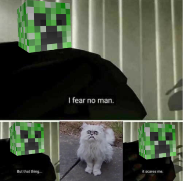 I Fear No Man Minecraft-memes-what-the-last-pringles-sees