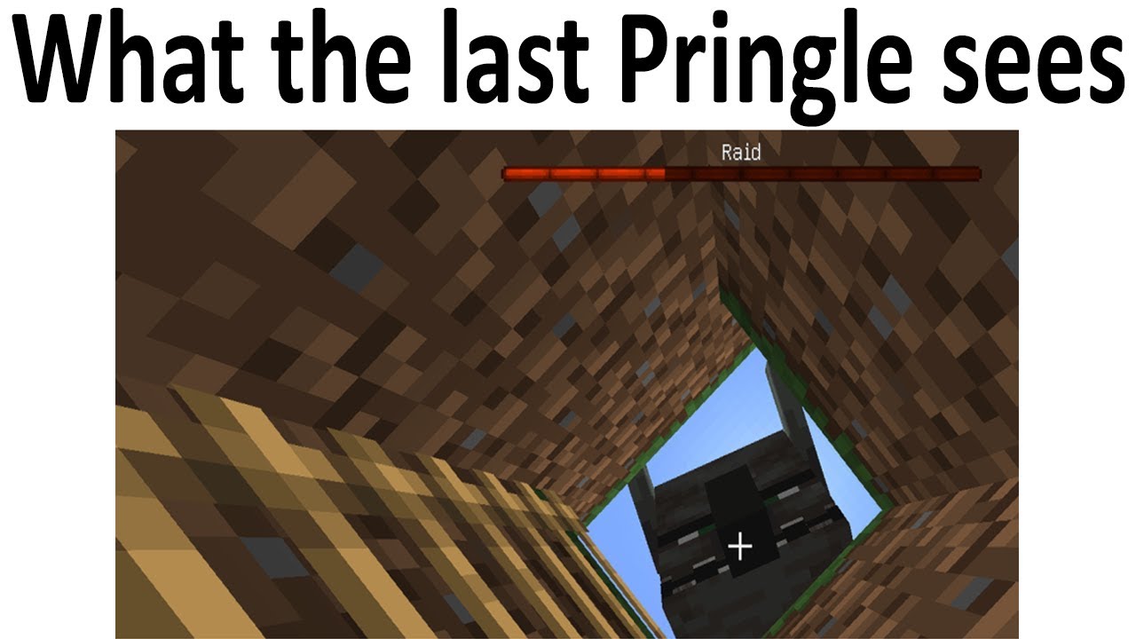 Minecraft-memes-what-the-last-pringles-sees
