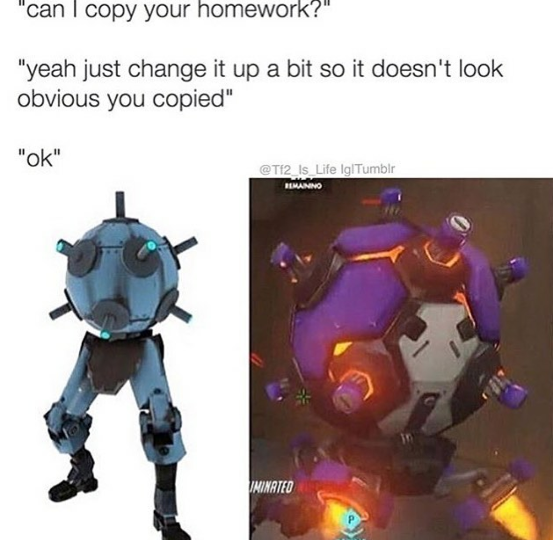Can I Copy Your Homework