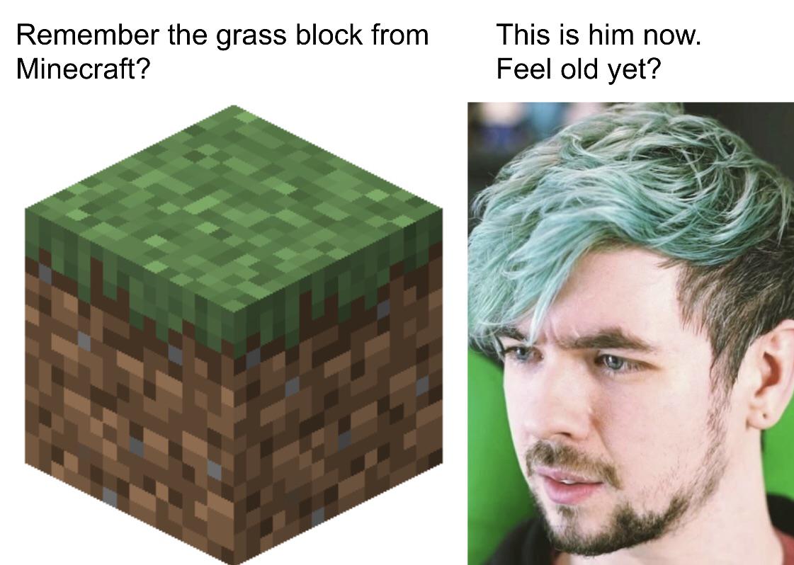 The Grass Block From Minecraft